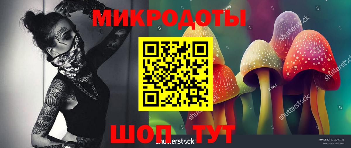 Псилоцибиновые грибы мицелий Аша